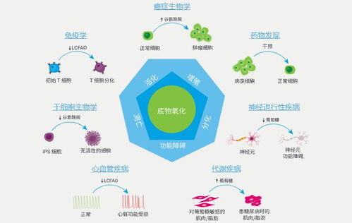 全新安捷伦Seahorse XF底物氧化压力测试产品 推动自然科学研究与试验发展