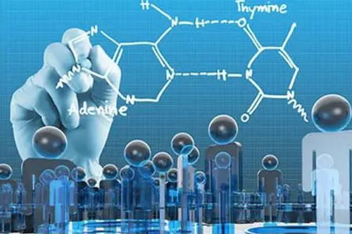 佛眼观微 宗教洞察与科学探索的千年遥望