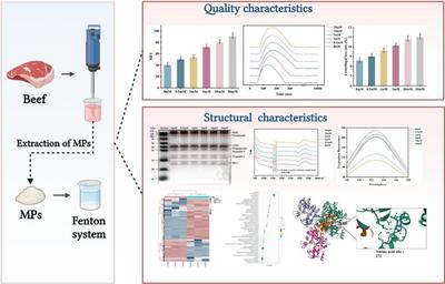 刘军博士在《Food Chemistry: X》发表前沿成果，助推生命科学研究与试验发展