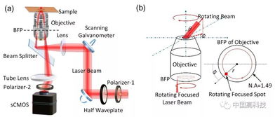 中科院合作团队在表面波光学显微镜研究中取得重大进展
