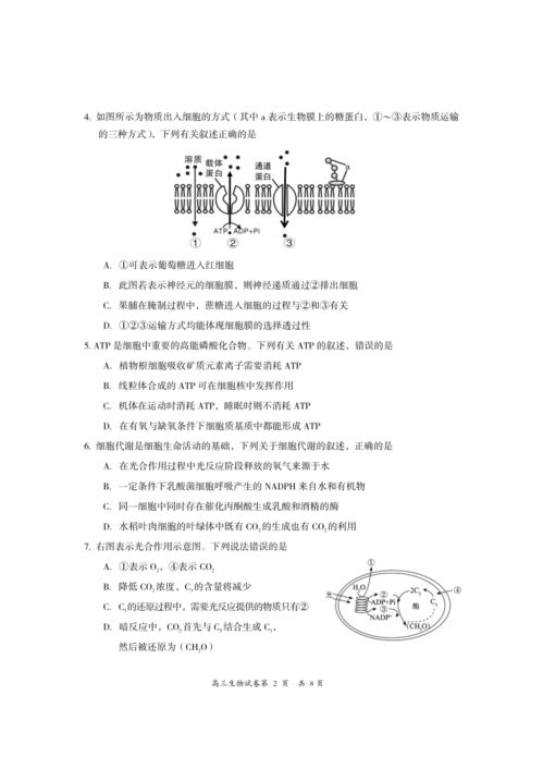 自然科学研究和试验发展——以生物学研究为例